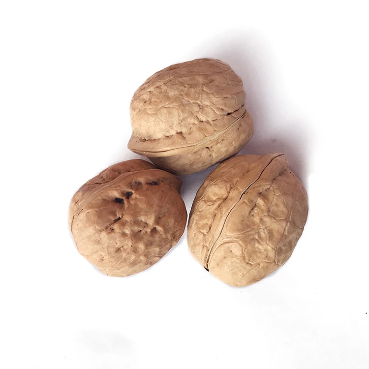 Лучшая цена обычные орехи xingfu высококачественные Сушеные