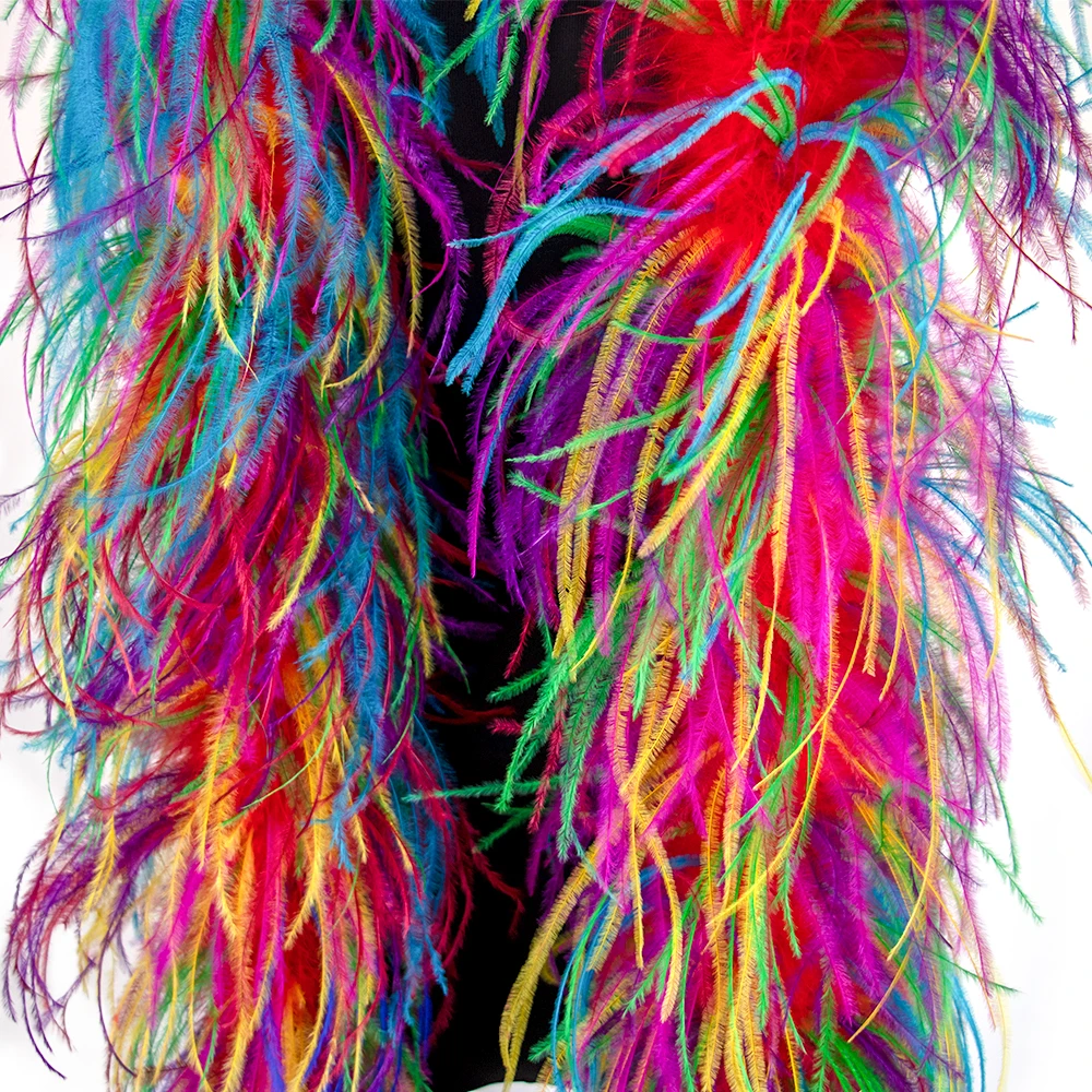 6 Layer Two Tone Ostrich Feather, Craft Sewing Trimmed Hair Bow Wedding Halloween Costume (Rainbow Mix)