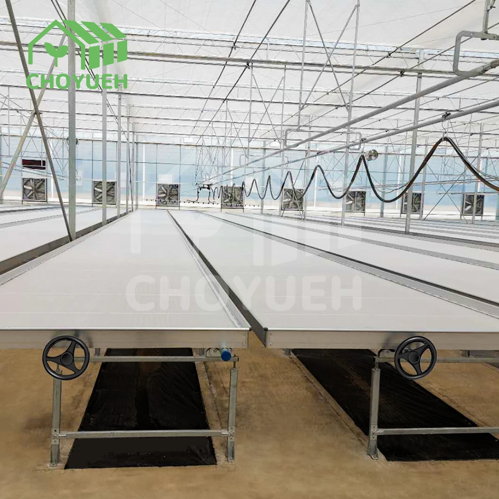 CHOYUEH A innovative solution for enhanced seedling production peanut seedlings the efficient rolling seedbed greenhouse seedbed