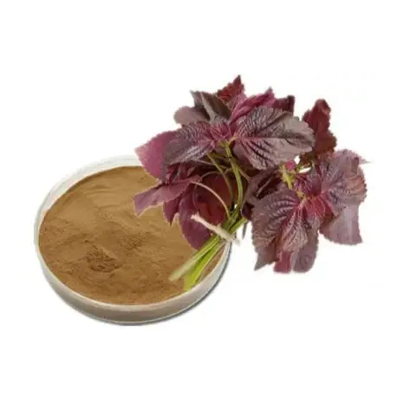 Factory price supply  wholesale  Perilla Leaf Extract Powder traditional Chinese herb