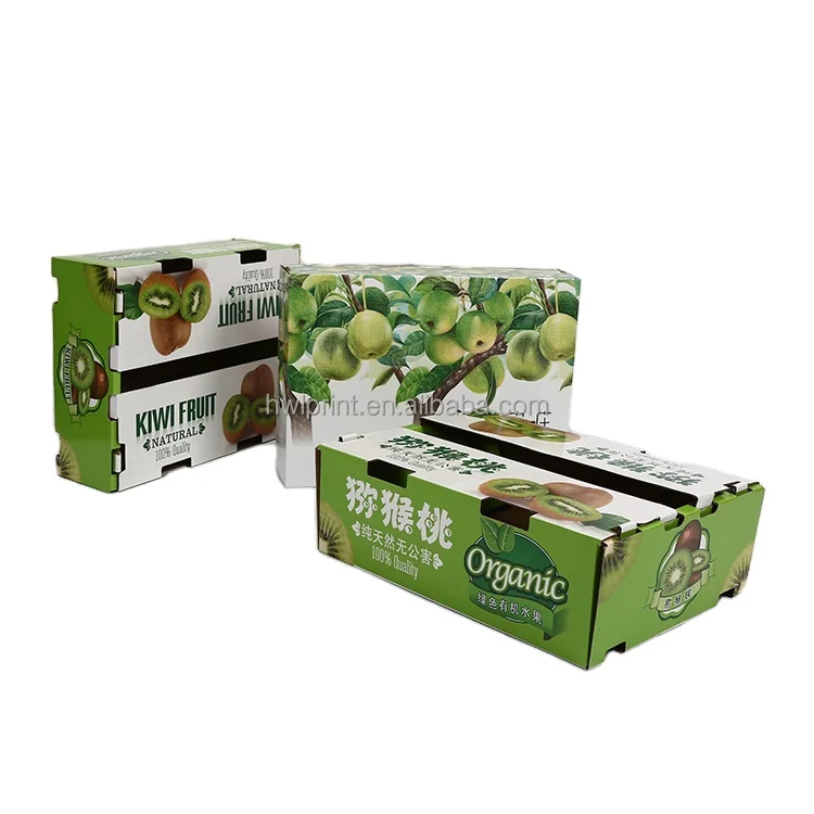 Kiwi fruit paper packaging factory diy design box