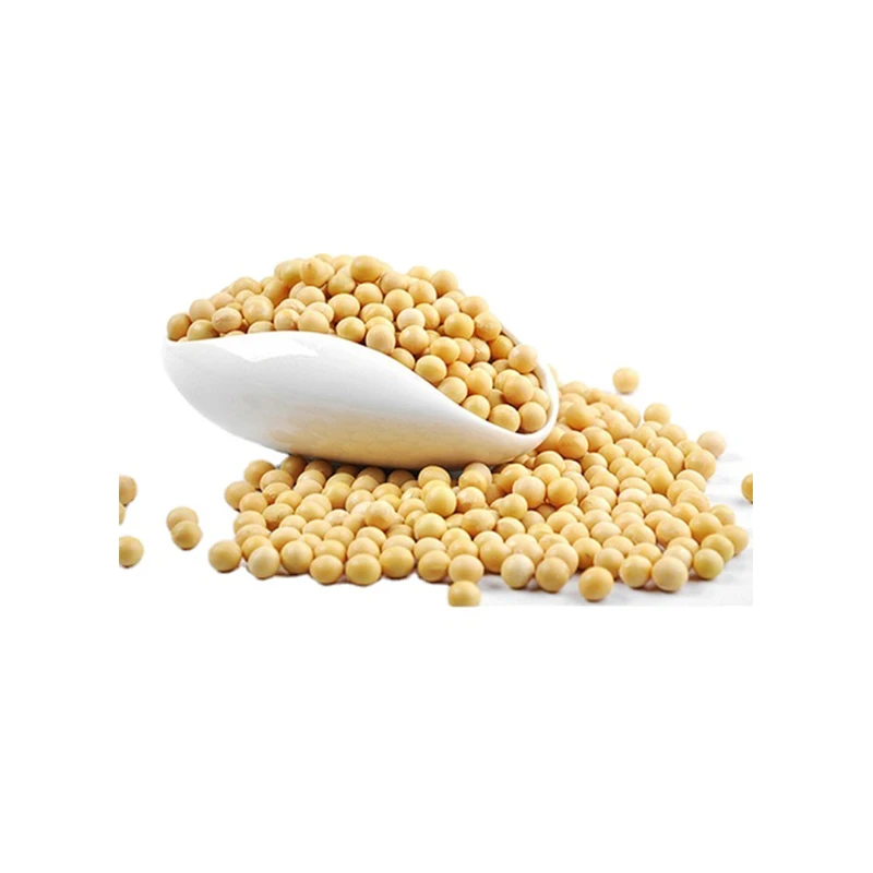High Protein Premium Quality Bulk Supply of Organic Non-GMO Dried Soybeans Fresh Soybean Meal for Animal Feed Exports