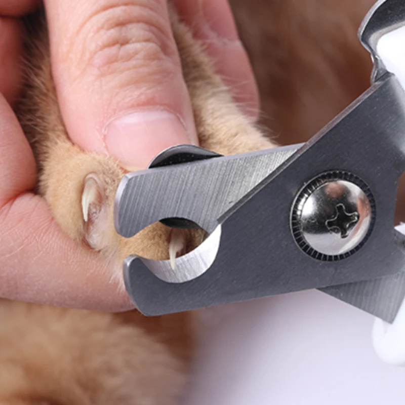 Pet Cat Dog Nail clippers Safety Pet Professional Cleaning Grooming Tool pet product factory