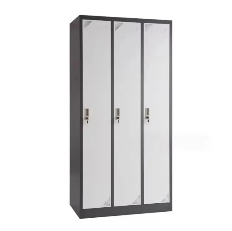 Hot Sale 2 Door Steel Locker Metal Storage Locker For Gym Changing Room Lockers Steel Wardrobe Price