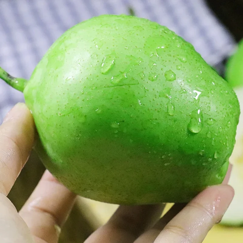 New Season Asian Pear Fruits /Fresh Chinese Yellow Ya Pear/Fresh Crown White Pear Fruit For Sale With Cheap Price