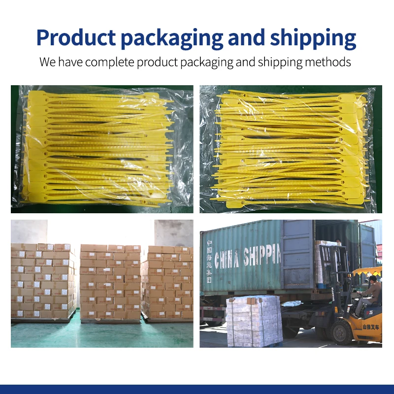 TX-PS208  Hot Sale Fire Extinguisher Plastic Safety Seal Lock Security