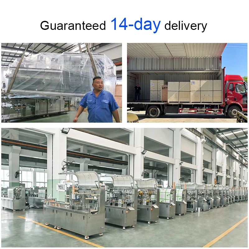 DPP160Pro Full Automatic Tablet Pill Capsule Blister Packaging Machine For Automated Packing Tablets Plate