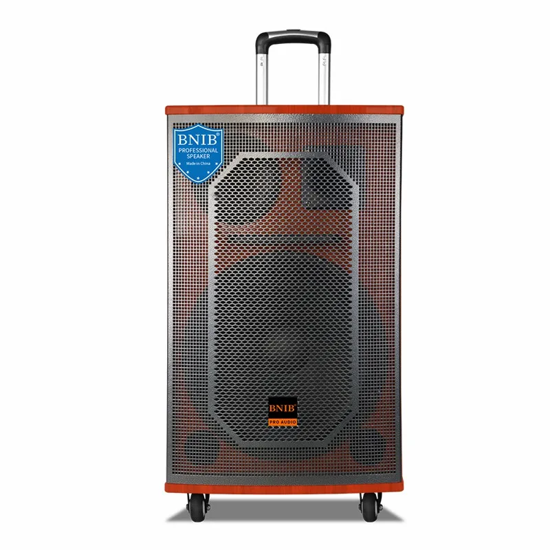 Trending 2022 Speakers Wireless Trolley Speaker Sound Equipment Amplifiers Speaker TF USB MIC ODM
