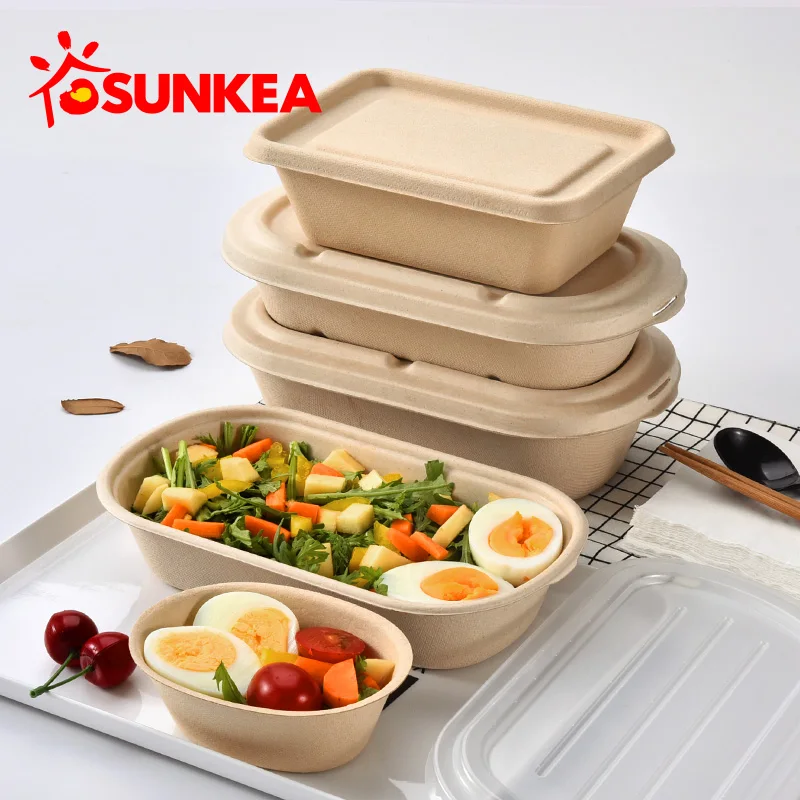 Sustainable Pulp Compartment Food Box with Lid