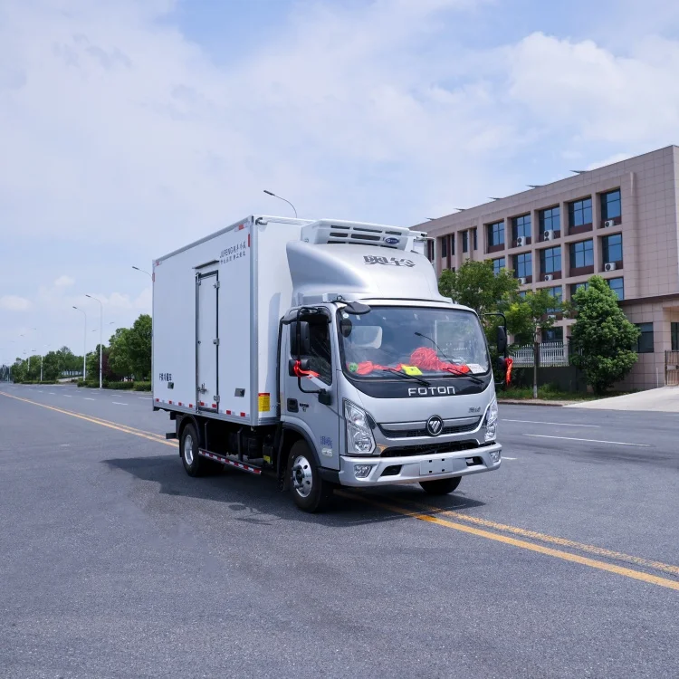 FOTON 1880 2080 кабина мини-холодильник с морозильной камерой новый заказ Прямая поставка завода дизельный рефрижератор