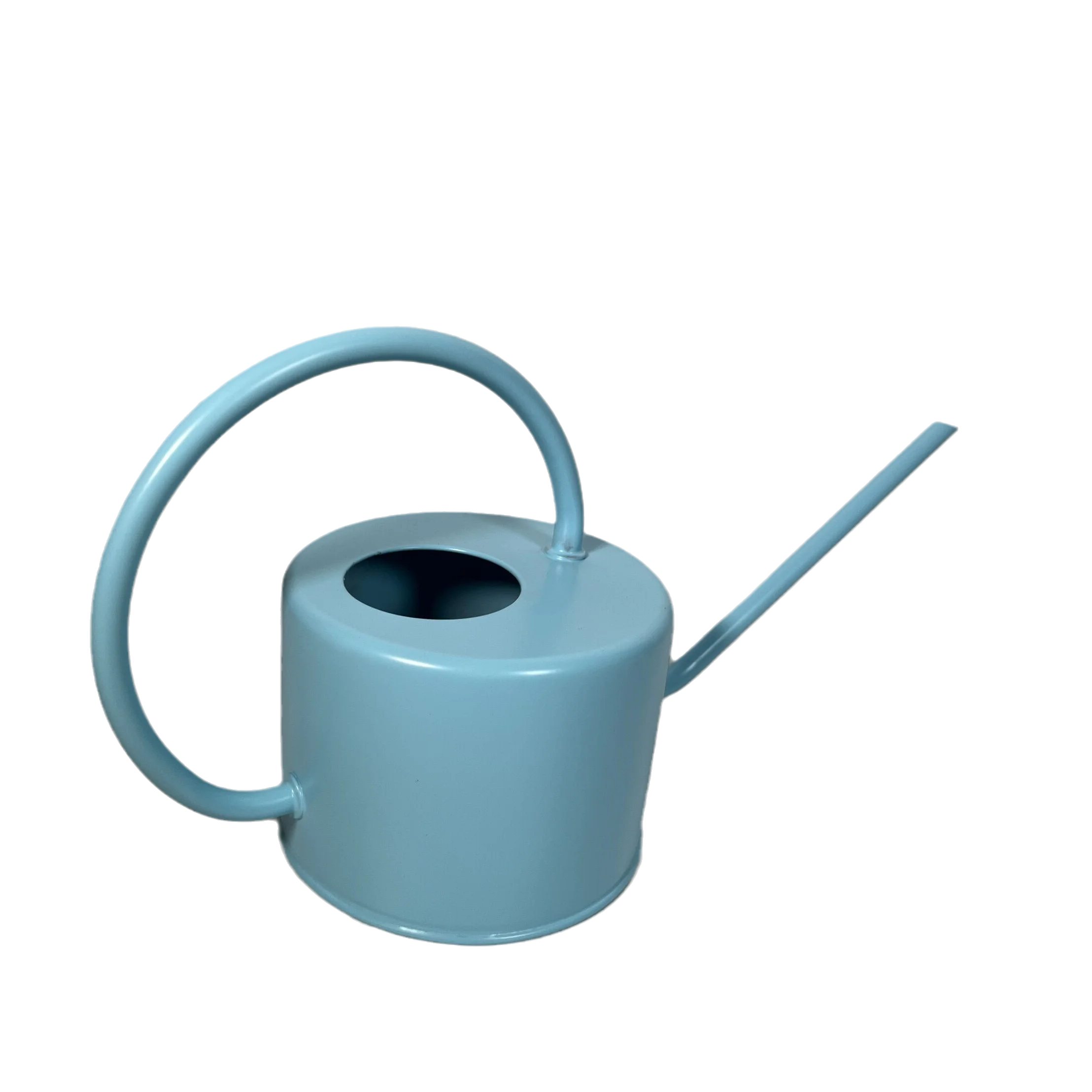 1 Gallon Watering Can With Removable Brass Rose Vintage Galvanized Steel Garden Plant Watering Can