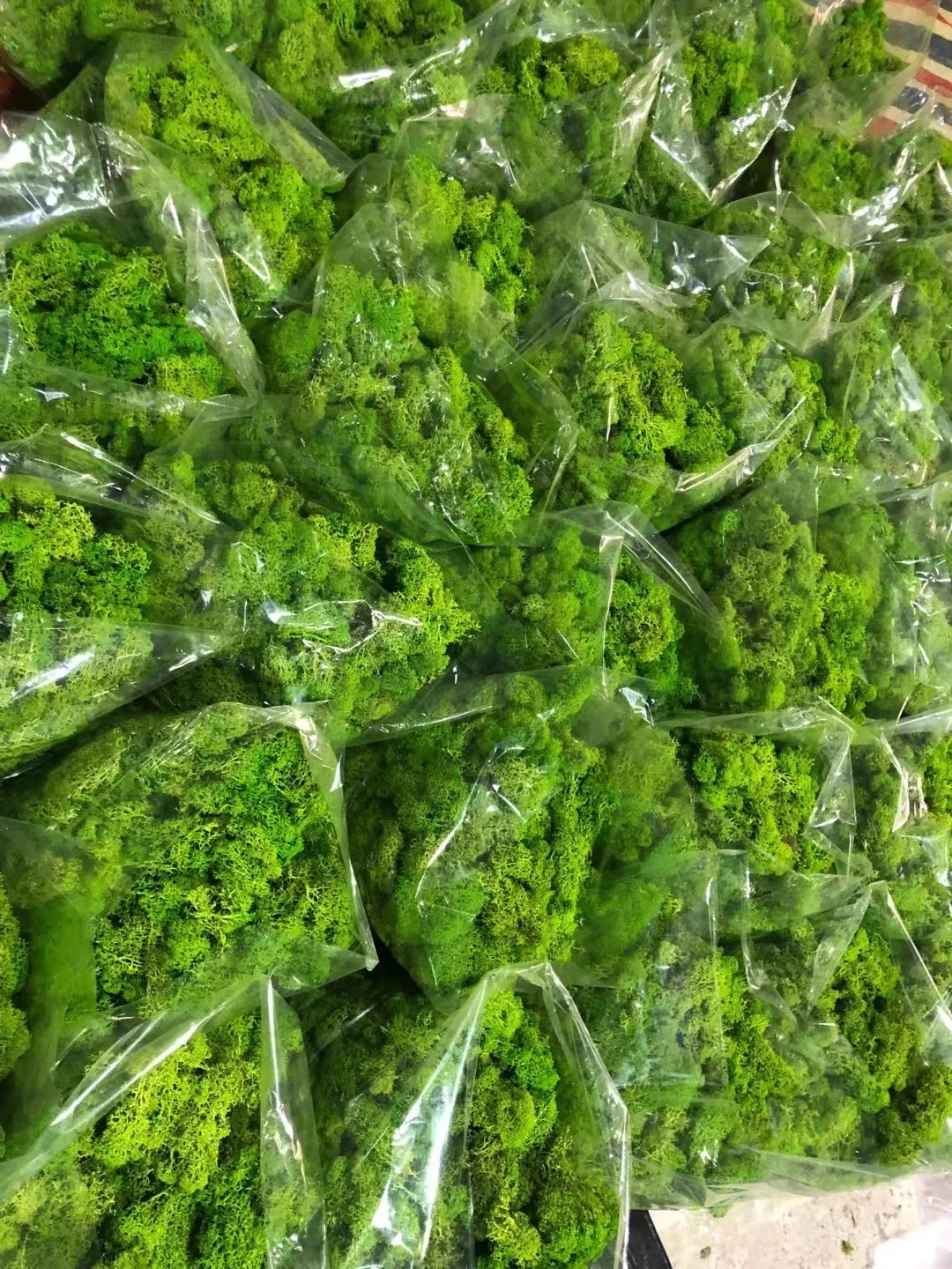 Green moss decorative preserved artificial moss wall custom-made preserved moss wall