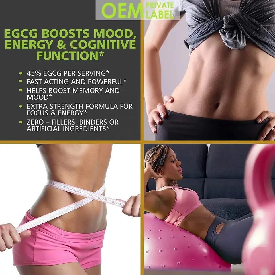 Customized herbal green pure natural body slimming flat abdominal fat curcumin reducing weight capsules