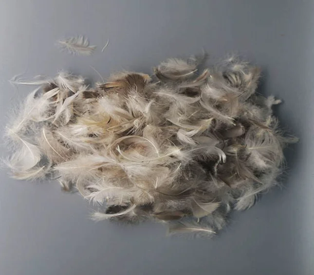 Hot Sale Washed Grey Duck Down Feather Filling Material Pillow Filling Material