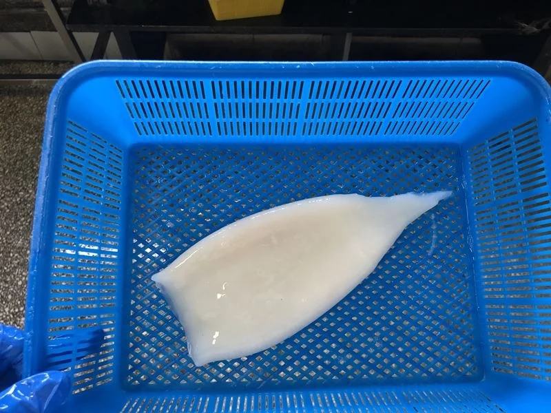 Loligo Tube Glazing Calamari Tubes U12 Squid White Diant Black High Quality Equator For Dubai Customize Cuttlefish