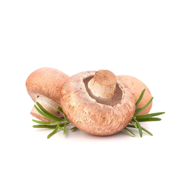  Помогите живот хороший вкус корней Толстая плоть грибы замораживание сушеных грибов
