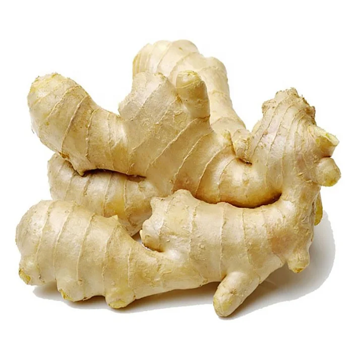 
2020 fresh ginger buyer dried ginger export to Indonesian 
