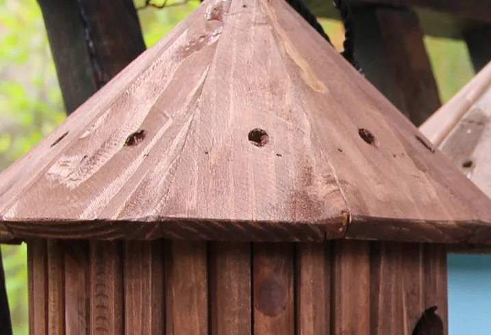 2021 new solid wood family animal nest in indoor/outdoor CNLF