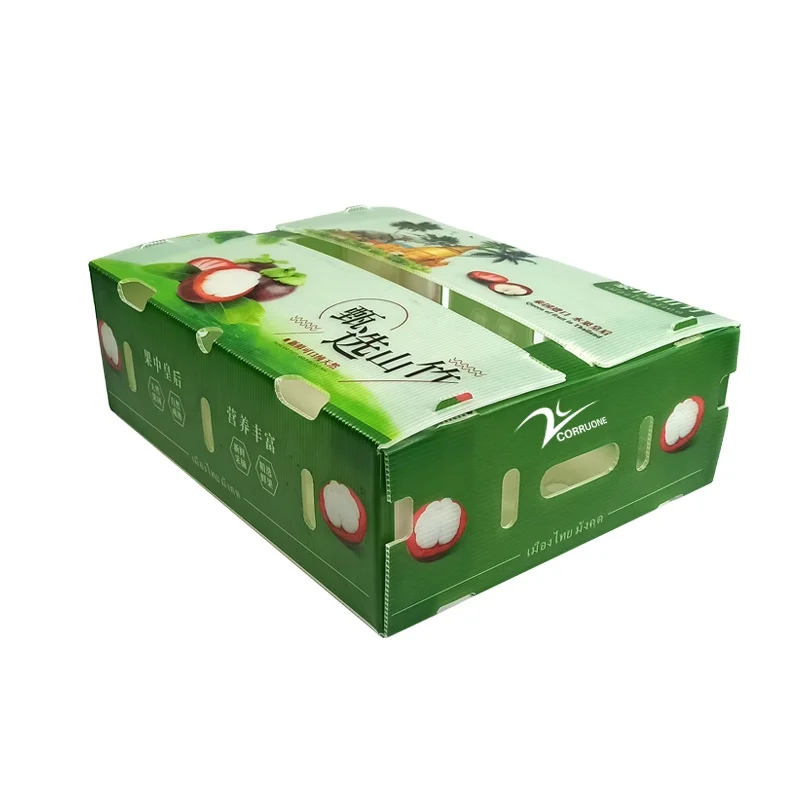PP Plastic Corrugated Foldable Potato Packaging Tomato Broccoli Vegetable Storage Box Polypropylene Corflute Plastic Container