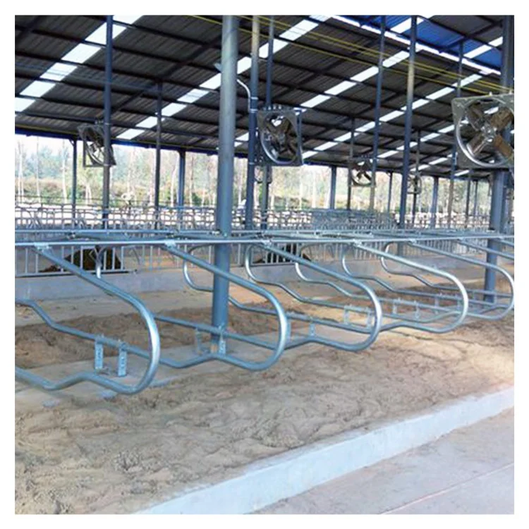 Modern Dairy Farm Hot-Dip Galvanized Factory Price High Quality Cow Free Stall