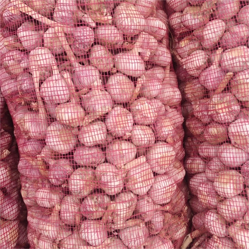 Preferential Price Natural 100% Pure White Fresh Garlic Press Onion Katsu Curry Sauce Oriental Flavor Seasoning Chicken Breast