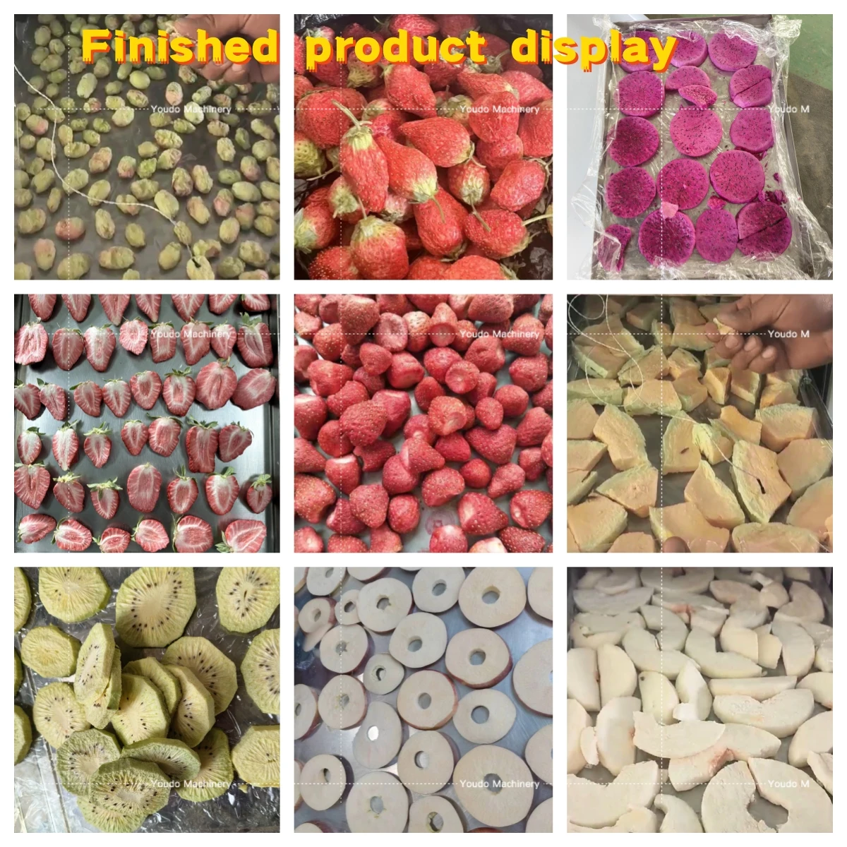 Eco-Friendly Freeze-Dried Organic Fruits Processing Machine for Sustainable Food Production