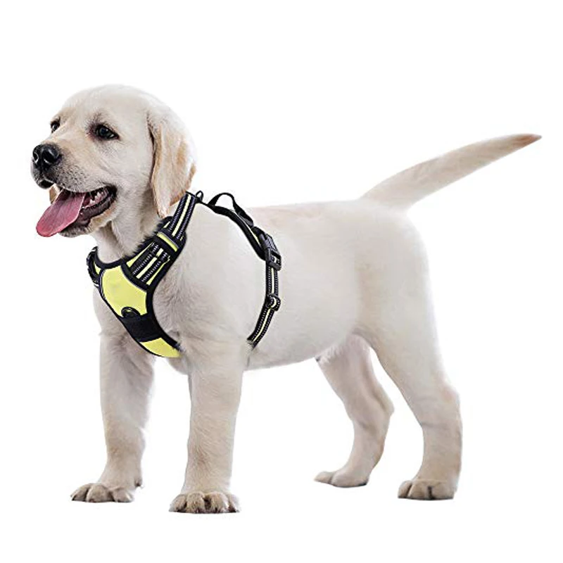 Strong Hemp Oxford Therapy Dog Collar Harness Leash for Small Medium Large Pets XL Size with Breakaway Feature by Pet Cane