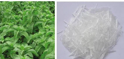 
factory supply Pharmaceutical l-Menthol Crystal Natural Menthol Powder CAS 2216-51-5 Crystal Menthol 