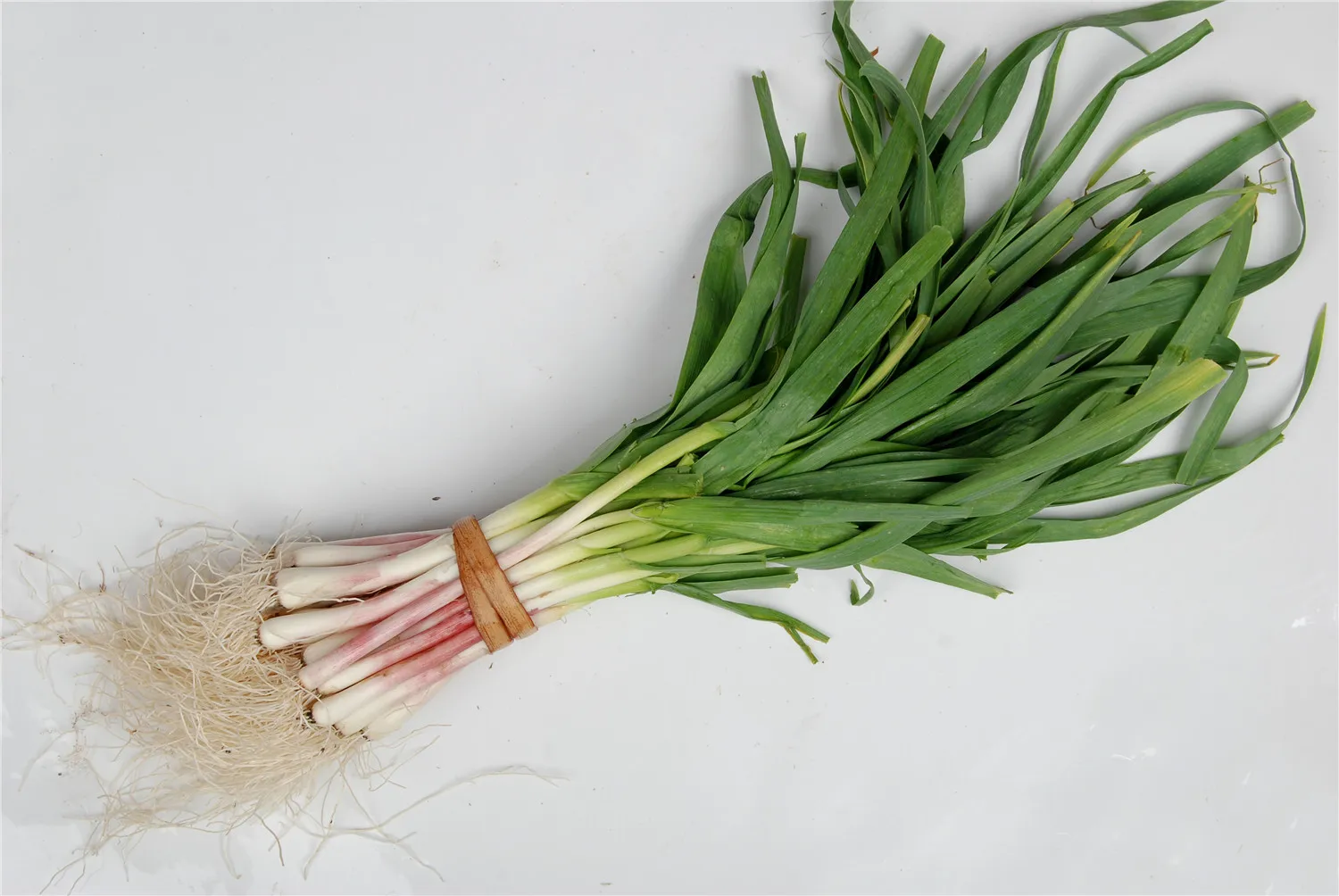 New Crop Air Dried Dehydrated Garlic Leaves Green Chive Green Leek Leaf