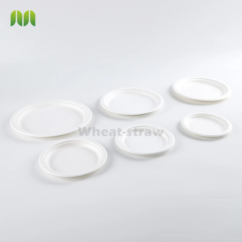 Customizable 2-3 Compartment Greaseproof and Waterproof Eco Friendly Paper 6-7-8-9-10inch Sugarcane Bagasse Plate Biodegradable