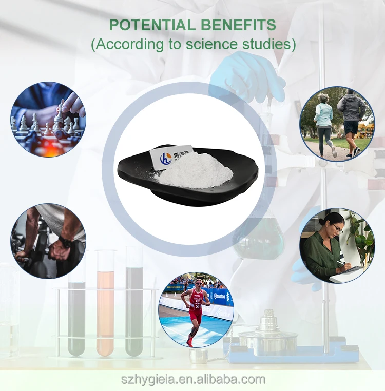 Factory Supply Alpha-GPC 98% Alpha-GPC Powder Alpha GPC with High Quality food supplements healthcare