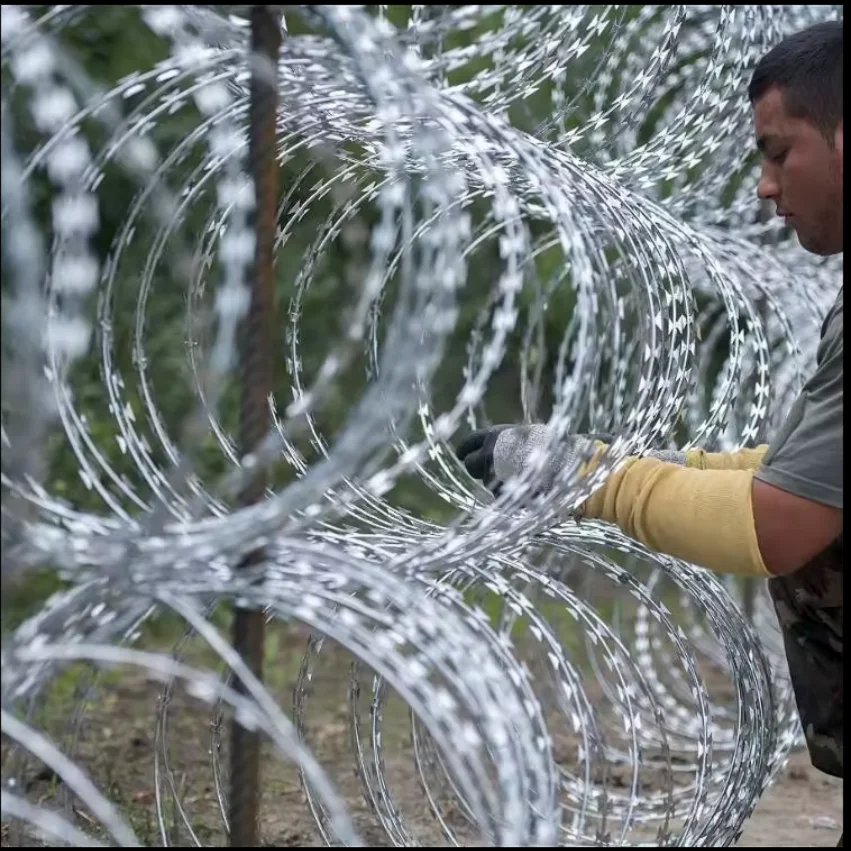 Epoxy razor Wire/Razor Blade Razor Wire/razor Wire Fence Galvanized Metal Wall Nails Galvanized Steel Nail Fence