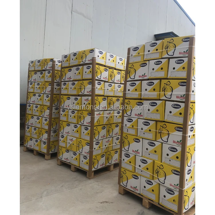 Импортер Свежего Лайма Montale, хорошее качество, для лимона