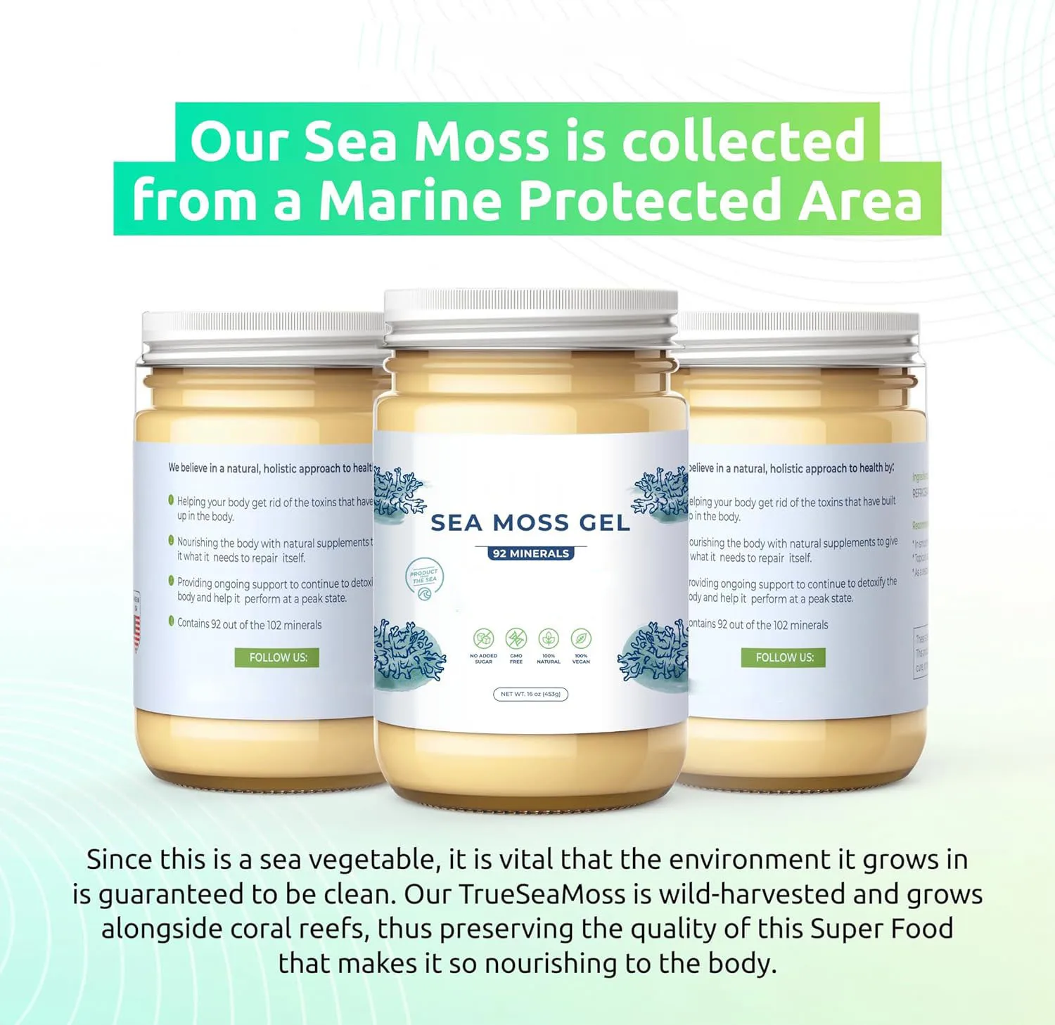 Cross-border Sales of Nori Softgel Support O EM Source Manufacturers Direct