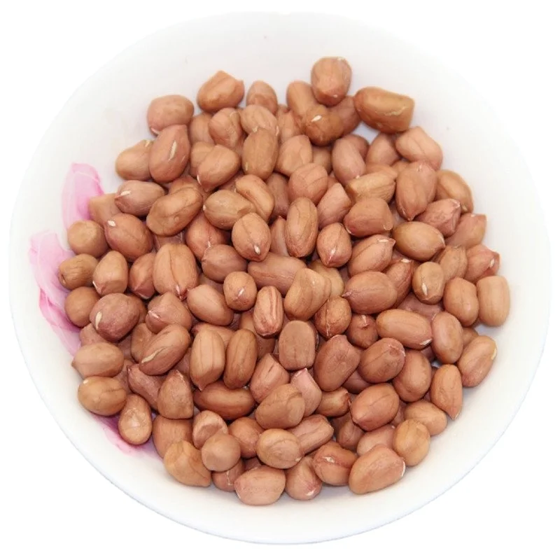 Wholesale China dry nuts Shandong raw Peanut Kernels raw groundnut peanut