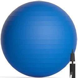 CrossFits 55 65 75 80CM stability dildos Half Chair Trainer Air Balance Ball Yoga Exercise Ball with bump