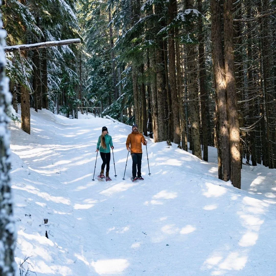 ORIENT OEM 50% 70% 100% Carbon Fiber Ski Poles Durable Cross Country Ski Poles