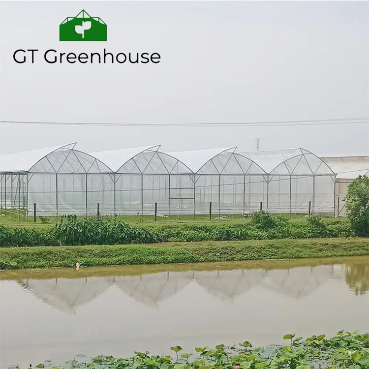 GT uv plastic 200 microns agricultural greenhouse green house metal frame agriculture greenhouse