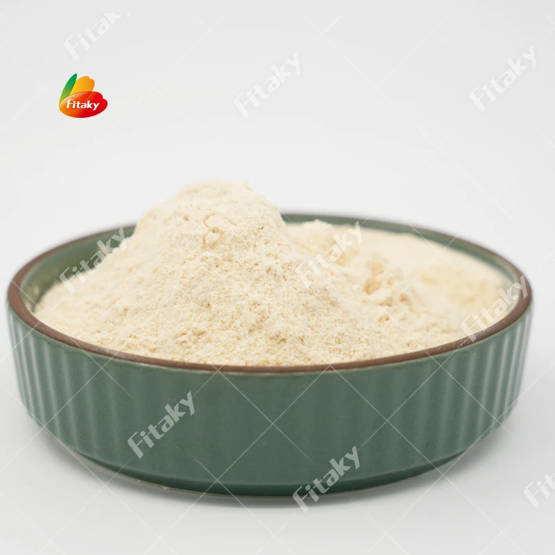 Bulk Organic Non GMO Garlic Powder Pure Garlic Powder Supplier