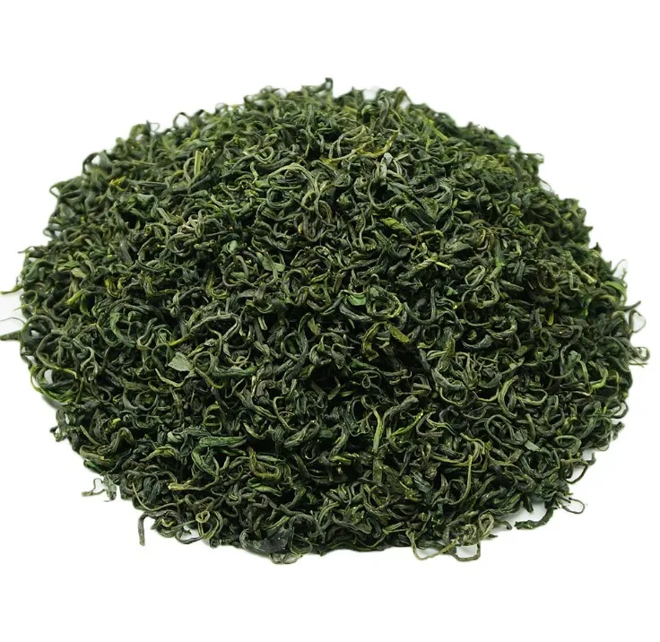 Good quality fragrant roll  green tea