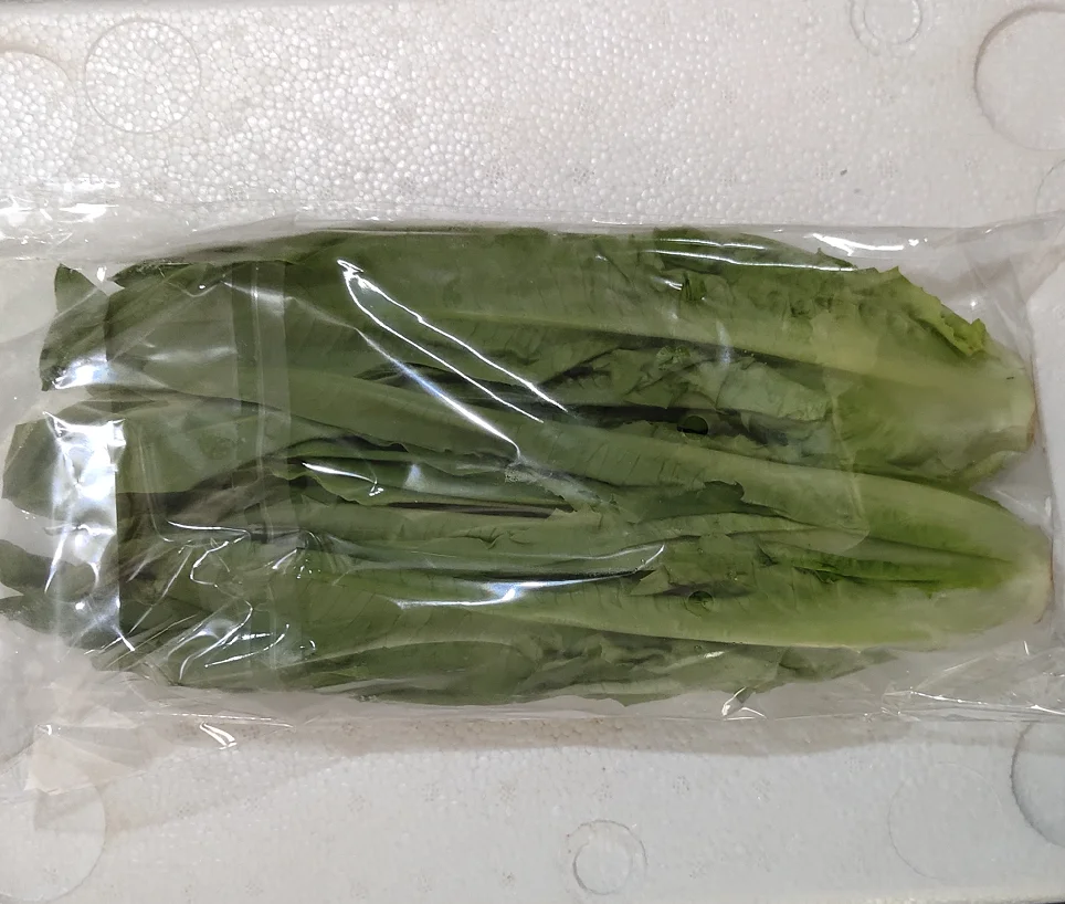 Large wholesale of fresh Lettuce