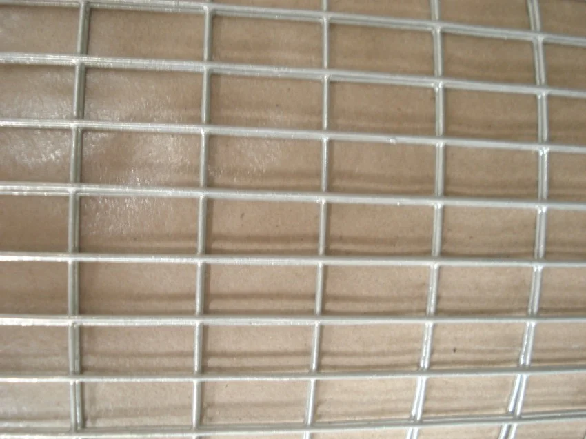 China Factory Galvanized Welded Wire Mesh For Garden