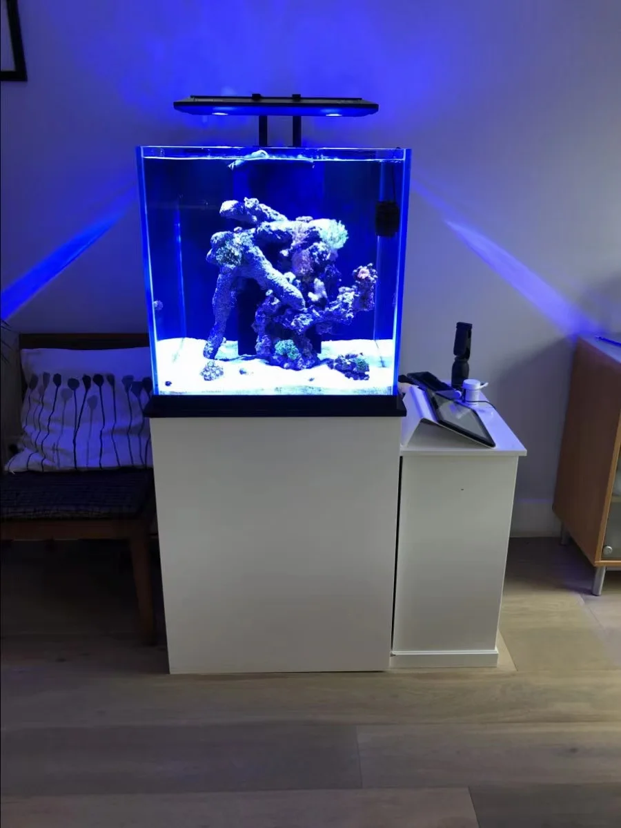 Nano Cube Aquarium MCR LED Lighting All One Acrylic Fish Tank Complete SETUP