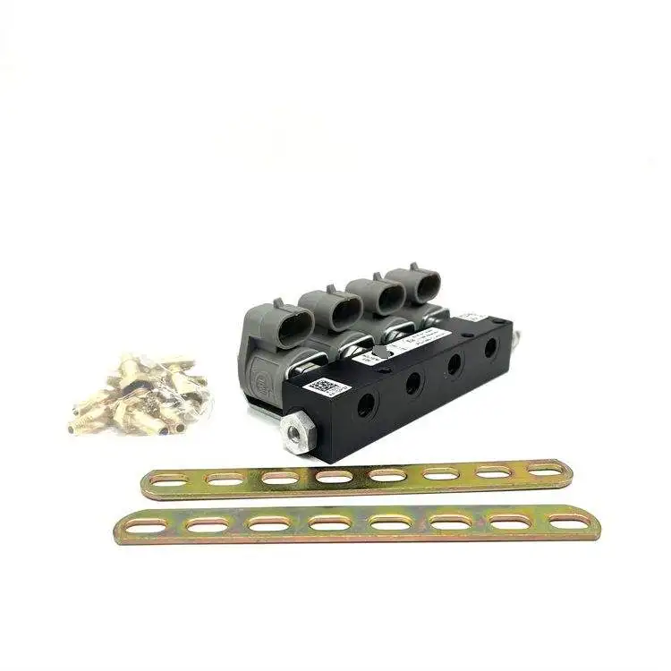 Lpg Cng Sequential Fuel System Injection Auto Gas Efi Kit Injector Rail 2ohm 3ohm 4 Cylinder Car Injector Rail