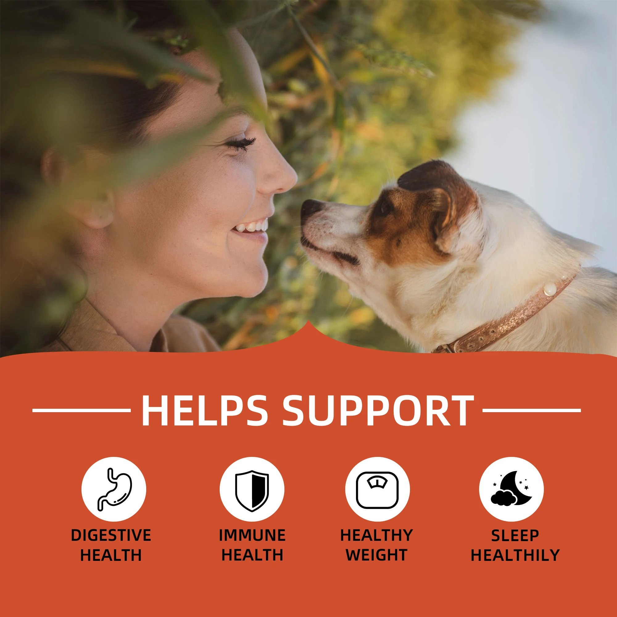 OEM ODM factory custom private label pet brain nerve sleep wholesale melatonin health care supplement treats soft chews food