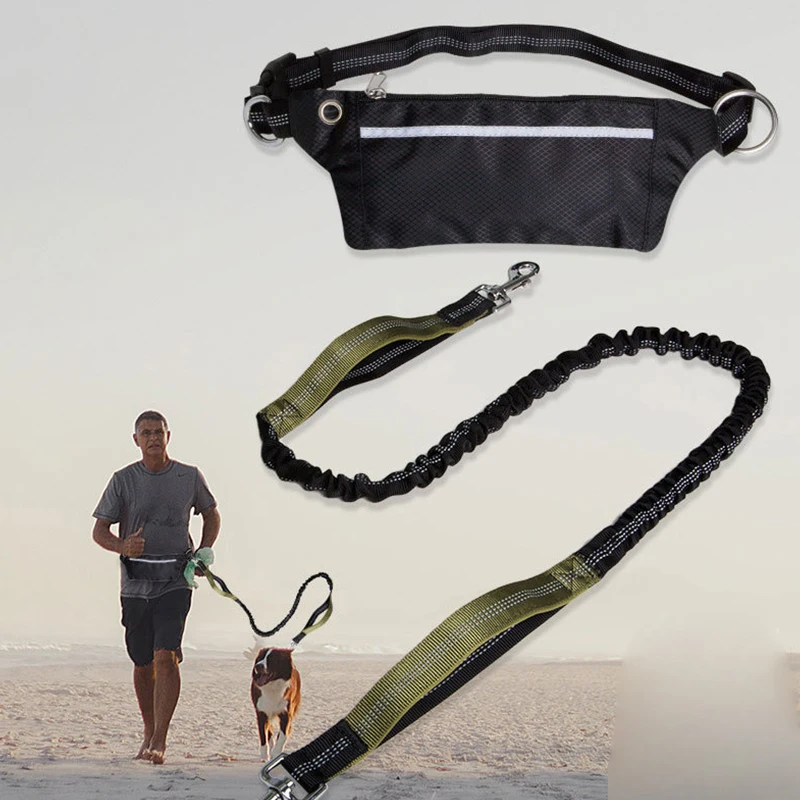 Reflective Dual Handle Bungee Hands Free Dog Waist Leash with Dismountable Mesh Nylon Dog Waist Bag Pack