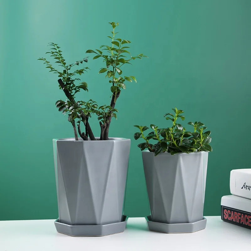 Manufacturer Designer Planting Custom Portable Plastic Decor Flower Pots