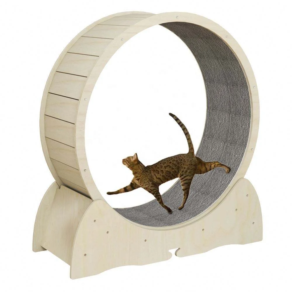 OEM ODM Interactive Anti-depression Fiberboard Wooden Pet Tread Exercise Running Wheel Circle TrackCat Pet Dog Fun Treadmill Toy