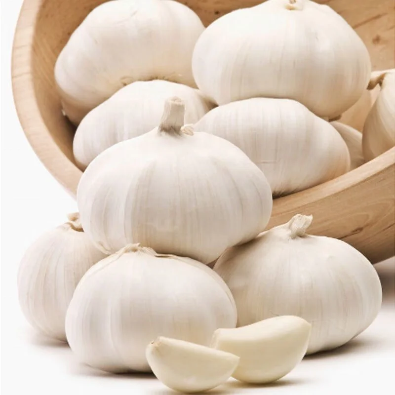Ajo Chino Best Quality Fresh White Garlic  Garlic Wholesale Fresh Garlic China