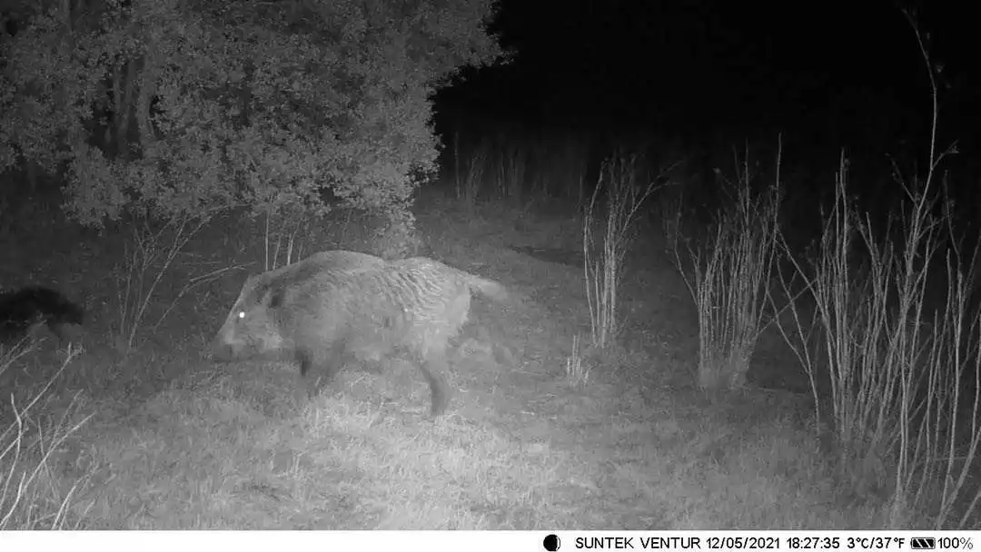 MMS SMTP GPRS Hunting Camera HC-550M 1080P 16MP  940nm 2G Trail Camera